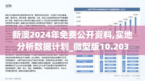 揭秘2025年新澳全年资料—口碑之选，高分辨率版资料6.61.457深度解析2025年新澳全年资料,推荐口碑非常强_高分辨率版6.61.457